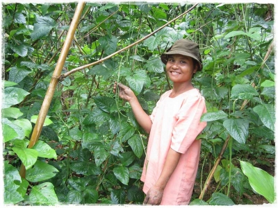 From Planting Soy, Kartini Group is Heading to Cooperative